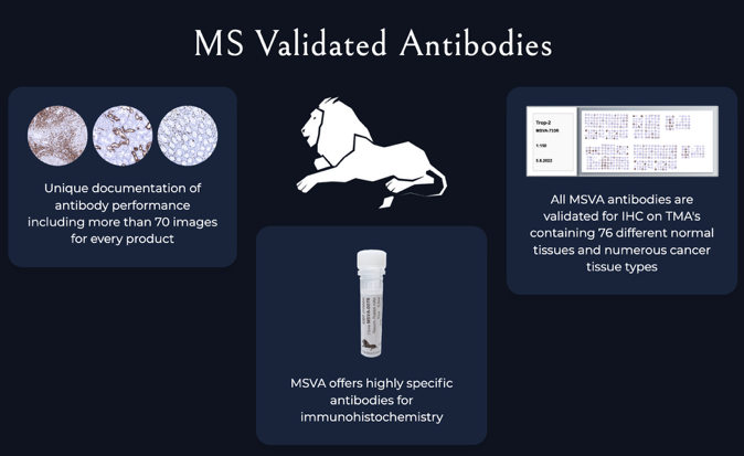 MS Validated Antibodies (MSVA)