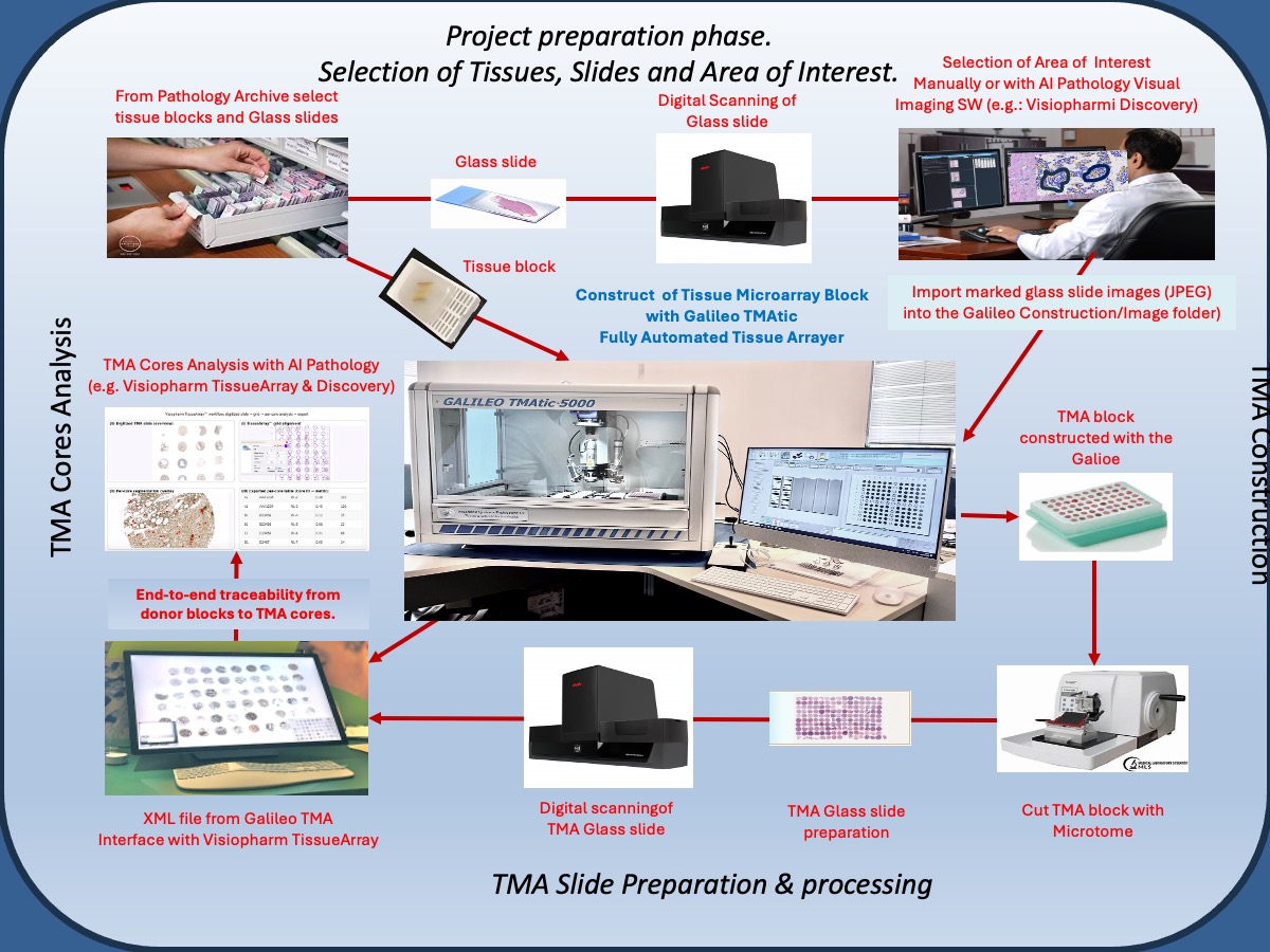 Galileo TMA workflow from tissue selection to TMA core analysis.