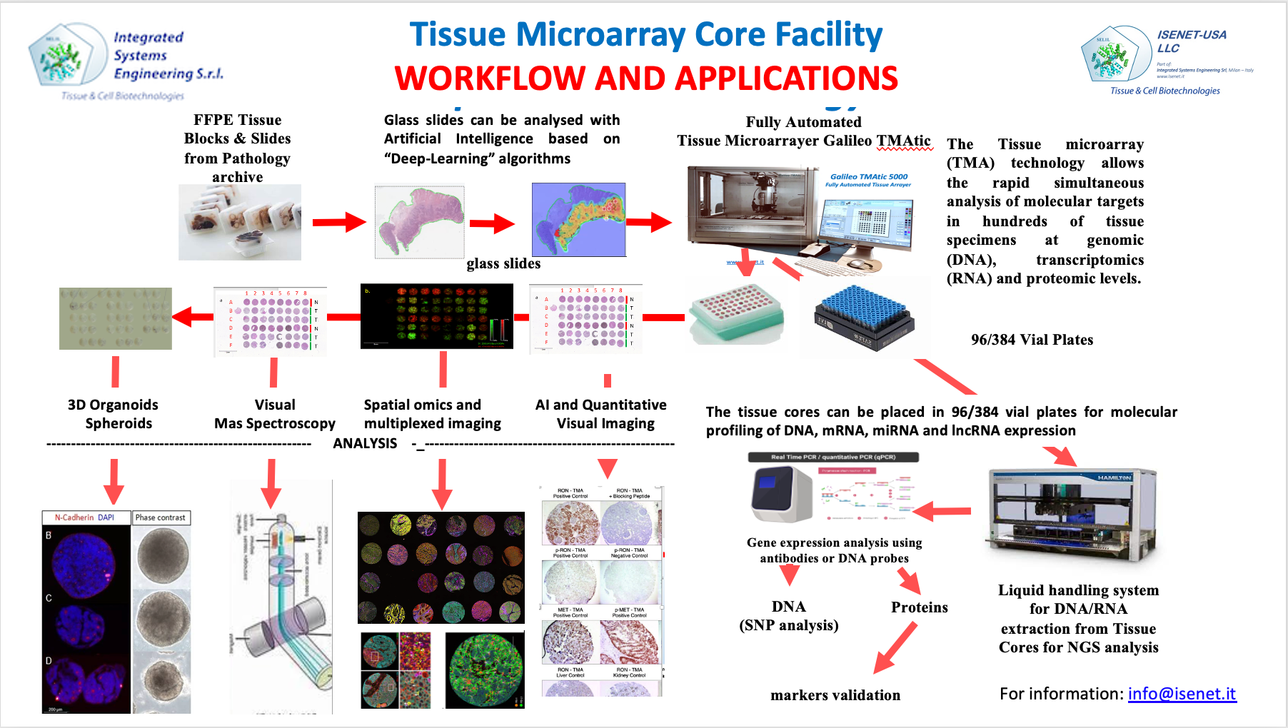 Tissue Microarray Core Facility workflow and applications.